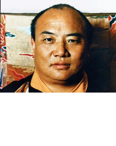 Karmapa, hlavn pedstavitel linie Karma Kagj