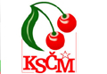 Profil kandidta do komunlnch voleb - KSM